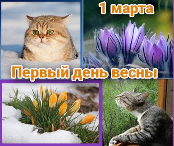 день весны 1 марта