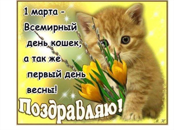 1 марта день кошек