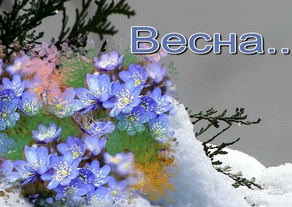 весенние открытки