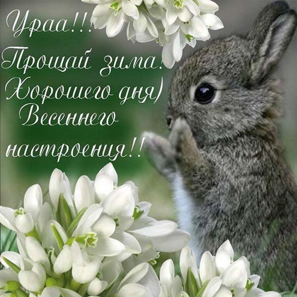 С первым днем весны с надписью