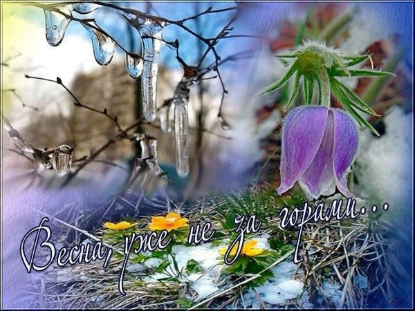 весенняя капель