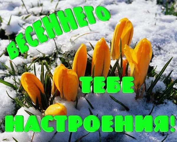 теплого апрельского дня