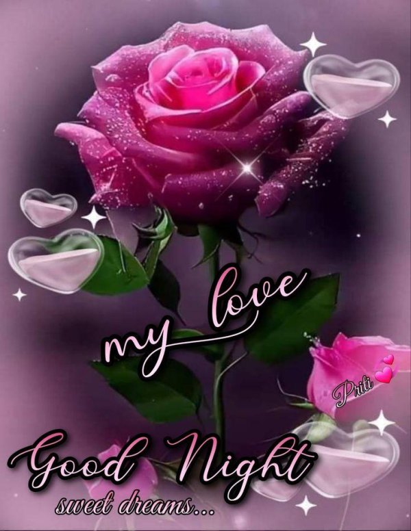 красивая роза