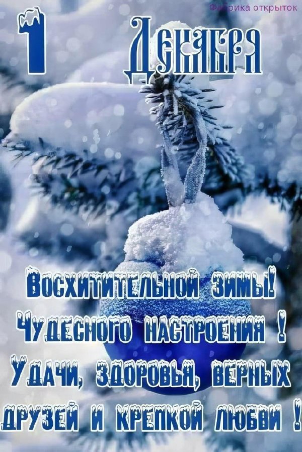 1 декабря первый день зимы