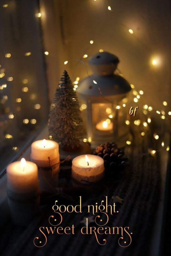 good night good night