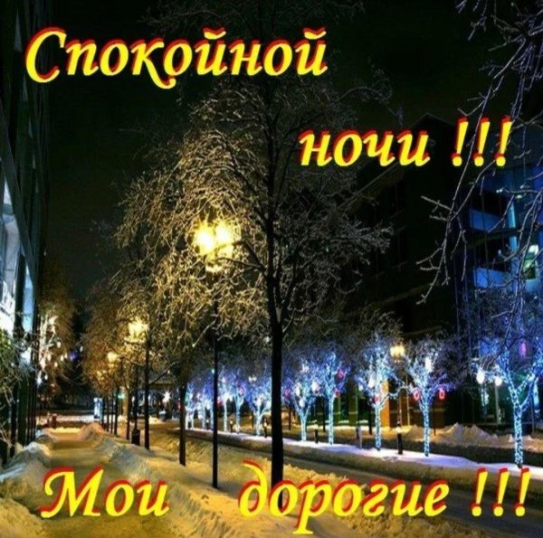 спокойной зимней ночи