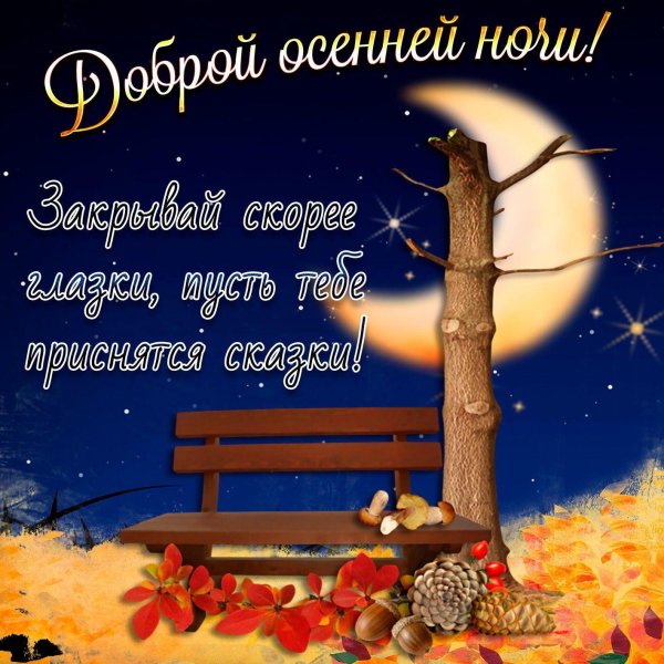 доброй осенней ночи