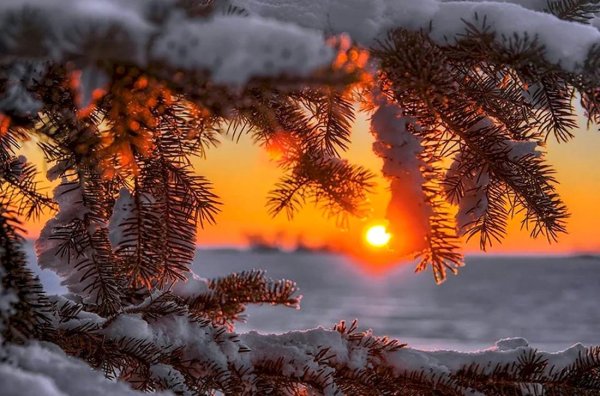 зима природа