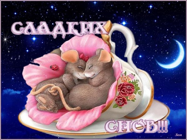 доброй ночи сладких снов открытка