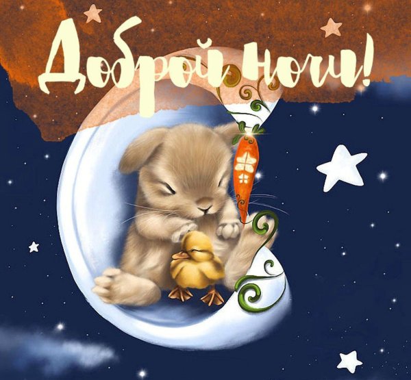 добрая ночь