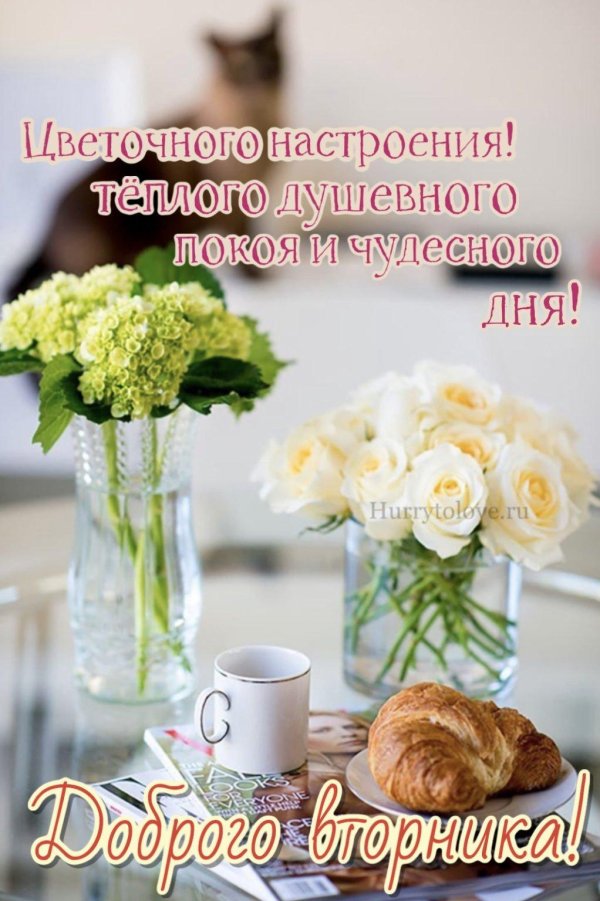 утро вторник