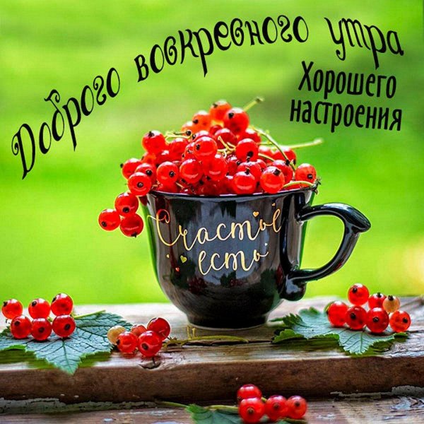 доброе утро хорошего дня и прекрасного