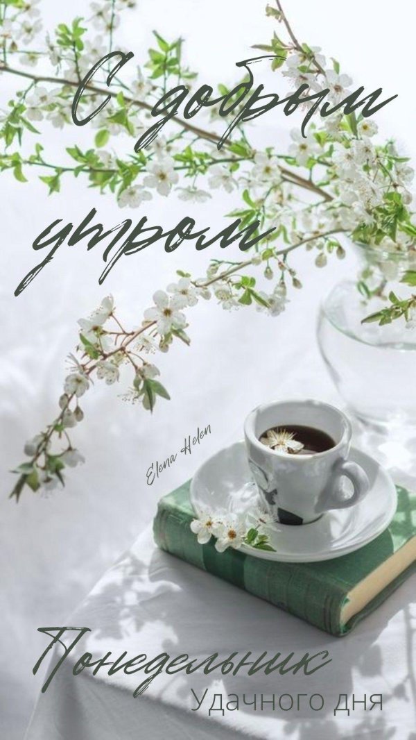 доброе утро понедельника удачного дня