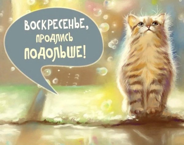 воскресенье прикольные