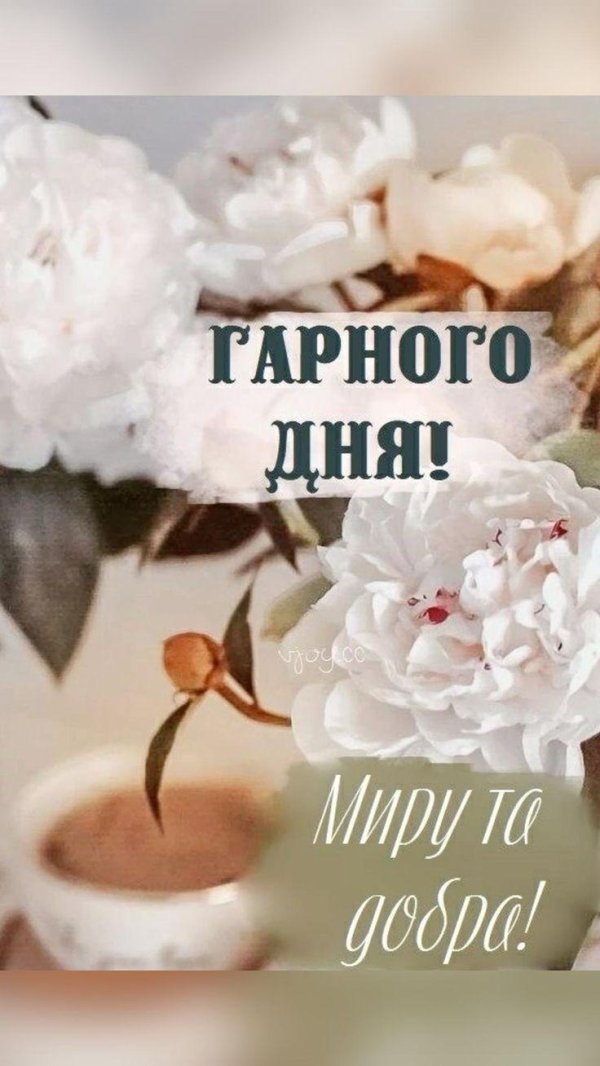 светлого дня