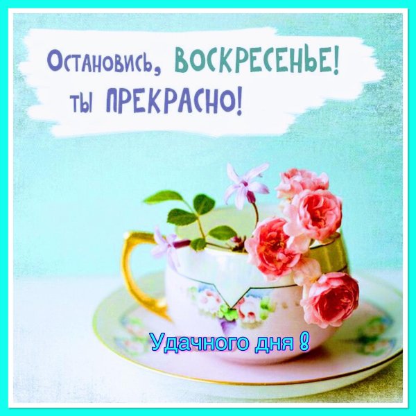 великолепного воскресенья