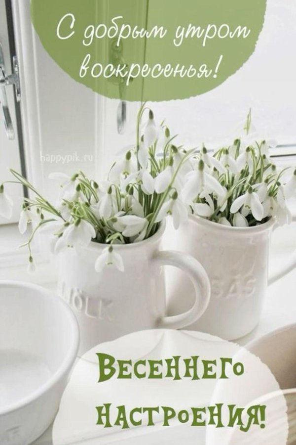 доброго весеннего утра воскресенья