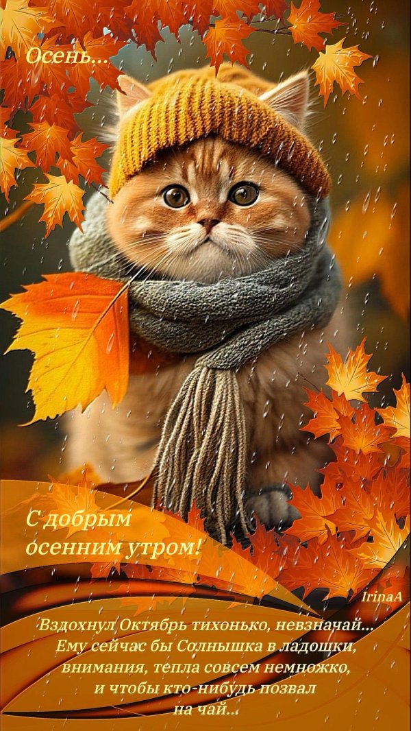 осеннего утра