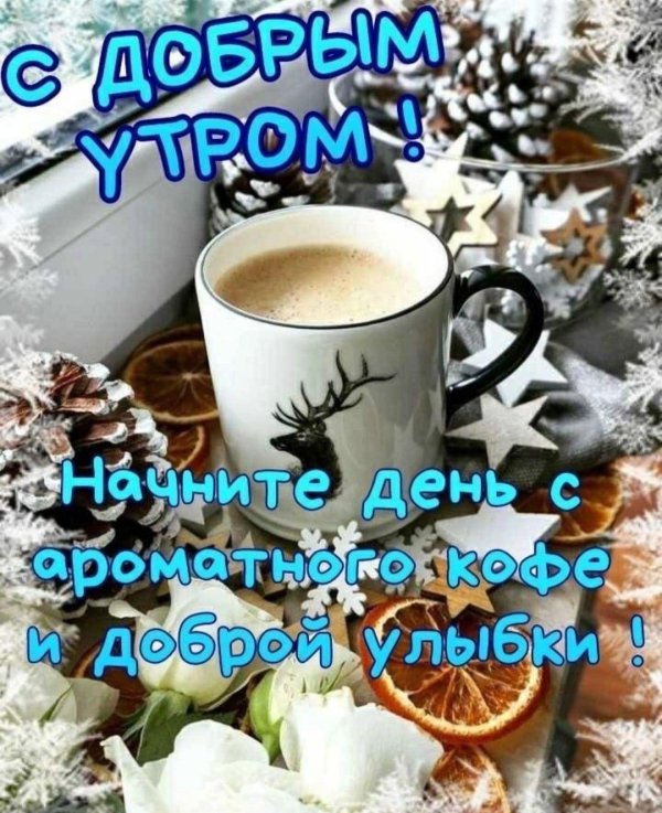 доброе утро зимние стильные