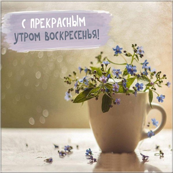 утро воскресения