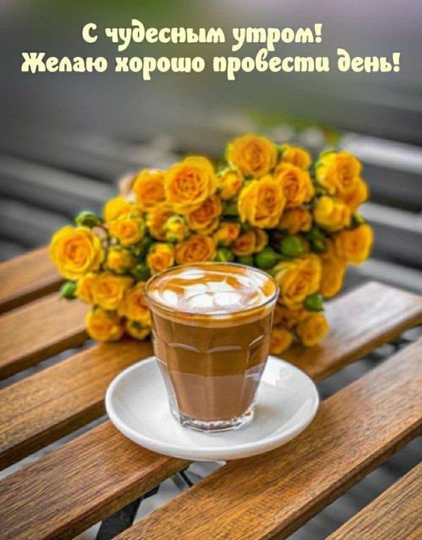 Хорошего настроения и доброго дня