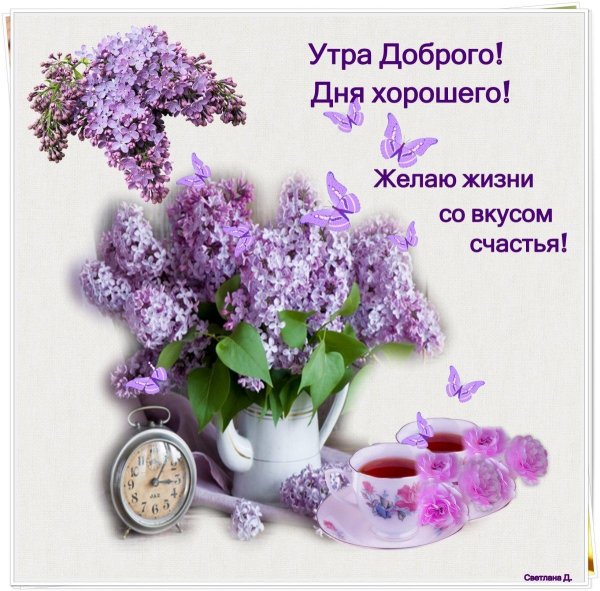 доброе утро сирень