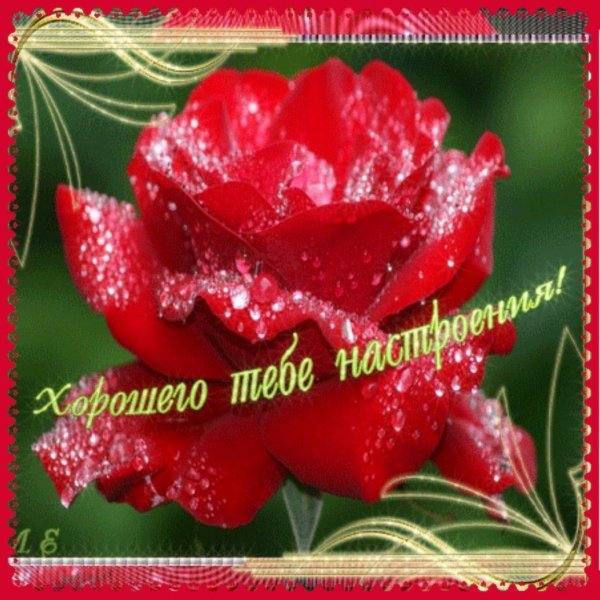 прекрасного настроения открытки
