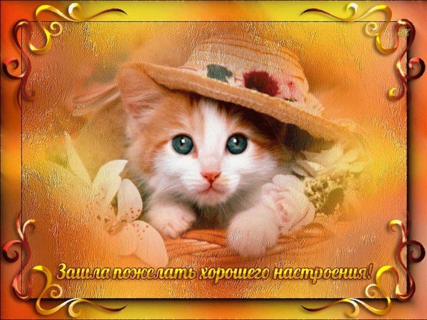 пожелать хорошего настроения