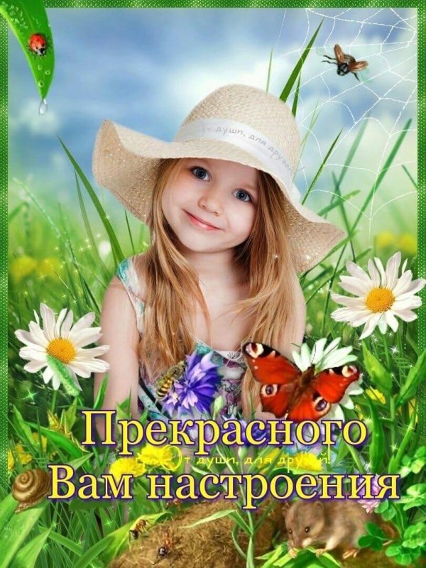 прекрасного настроения