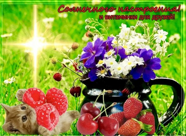 июльского настроения