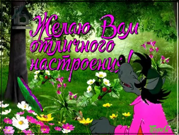 отличного настроения