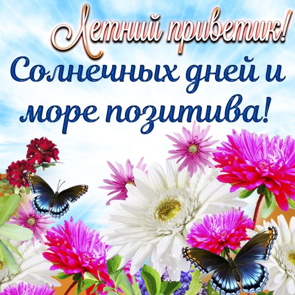 открытки добрый день летние красивые