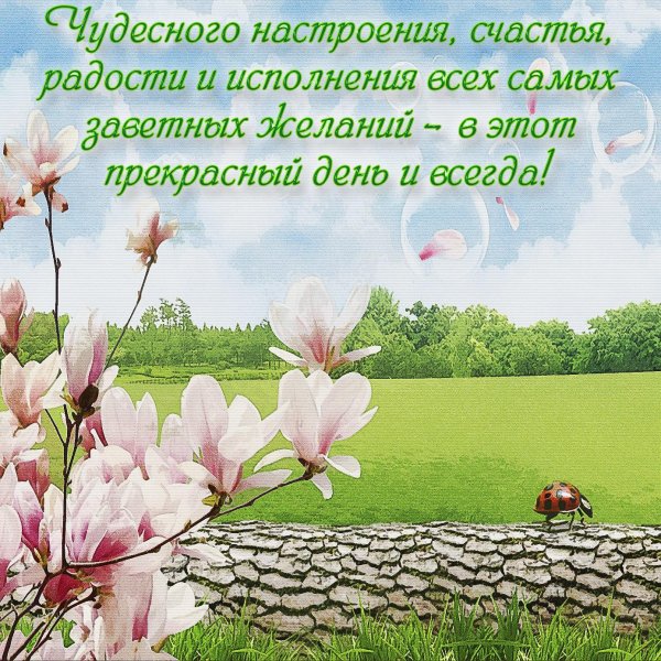 весенняя заставка