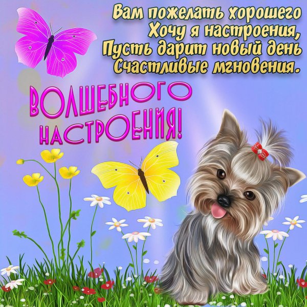 поздравление с хорошим днем