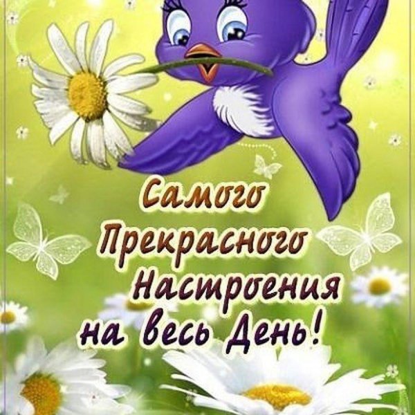 прекрасного настроения на весь день