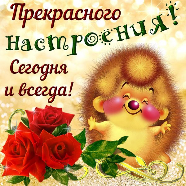 пожелание радости