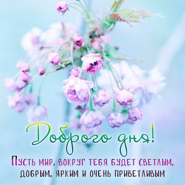 светлого дня