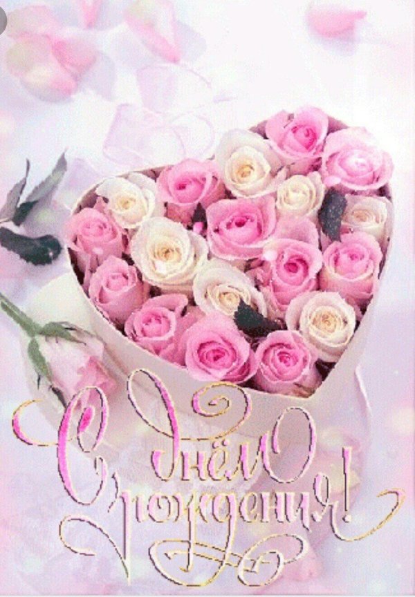 розовые розы с днем рождения