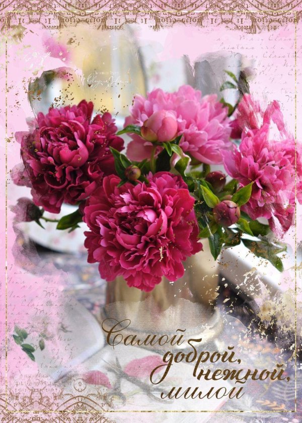 цветок пион