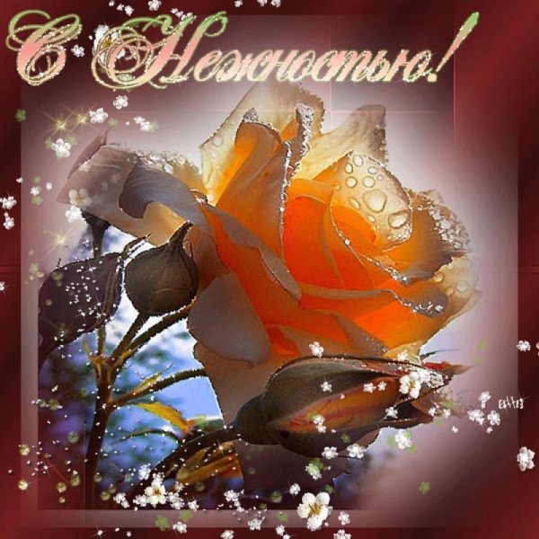 открытка нежность