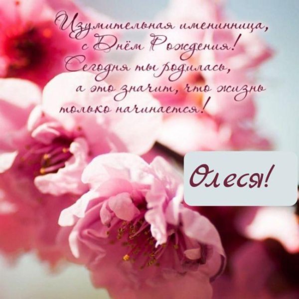 с днем рождения олесе