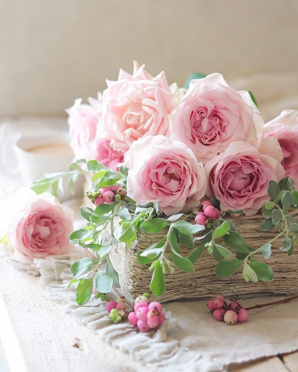 ранункулюс шебби шик