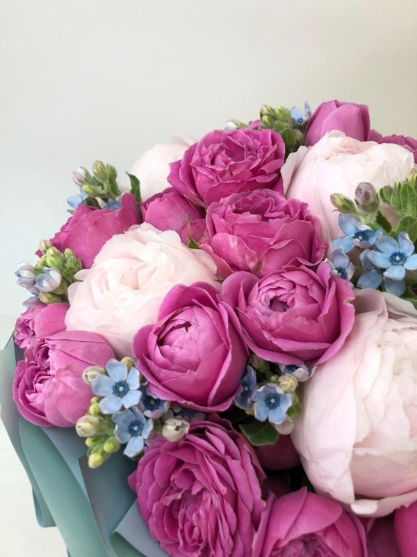 пионовидная роза