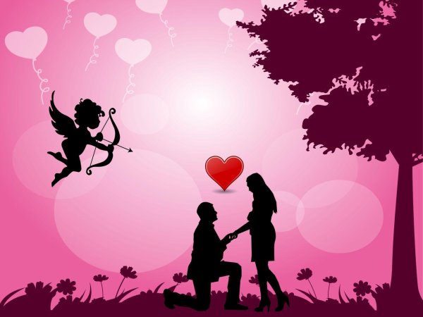 силуэт пары