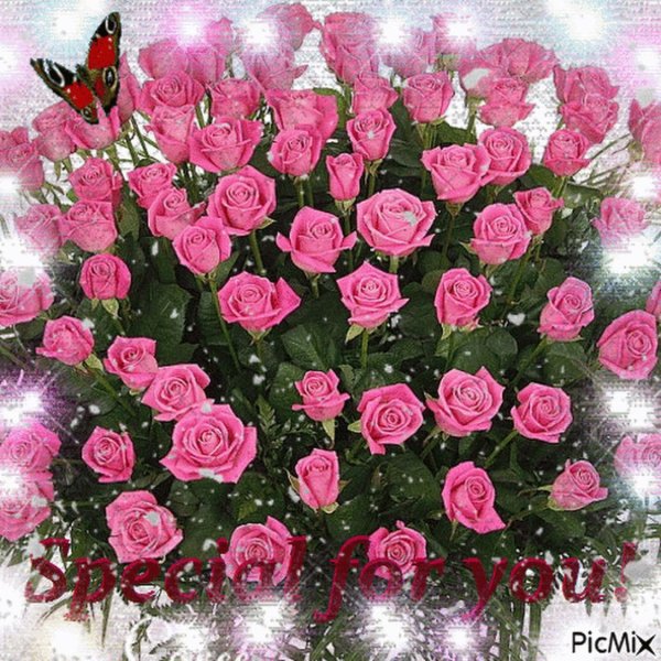 мерцающие букеты цветов