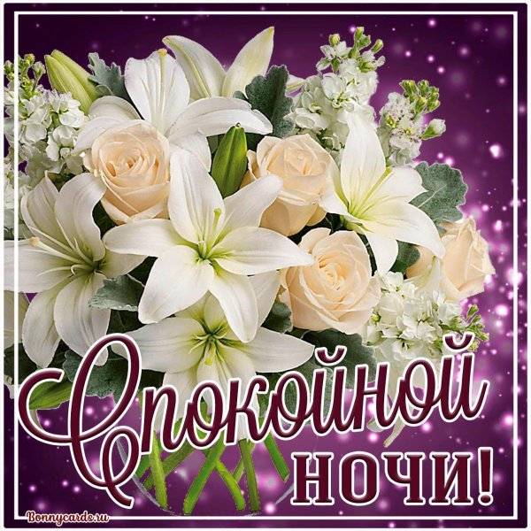 спокойной ночи женщине красивая открытка