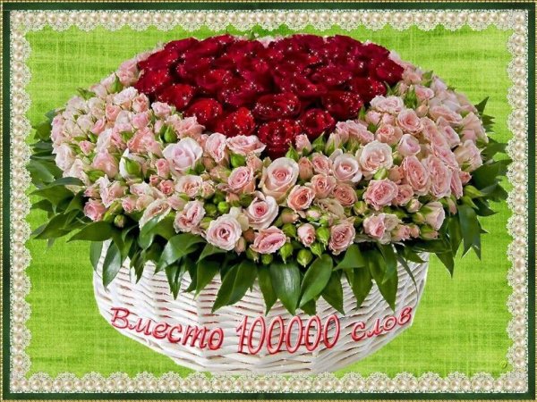 розы букеты шикарные