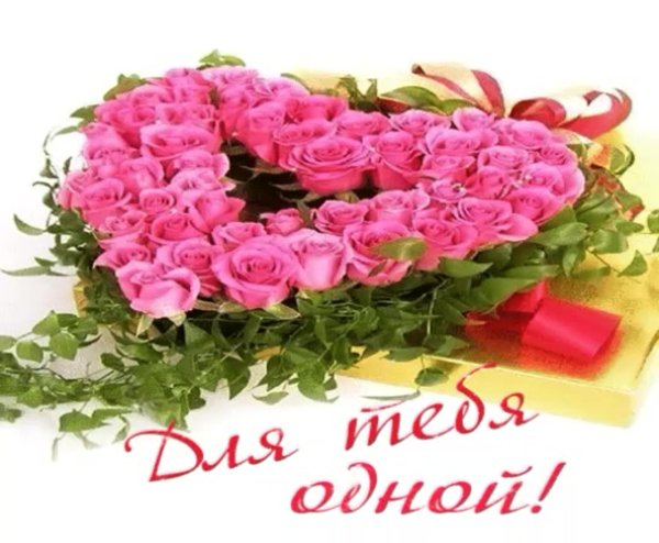 красивая букет