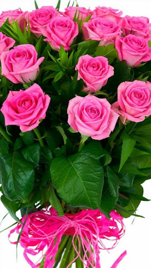 роза аква букет