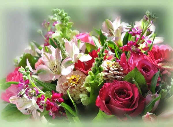 красивая букет